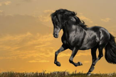 真千金的掉马日常,掉马日常的华丽逆袭之路